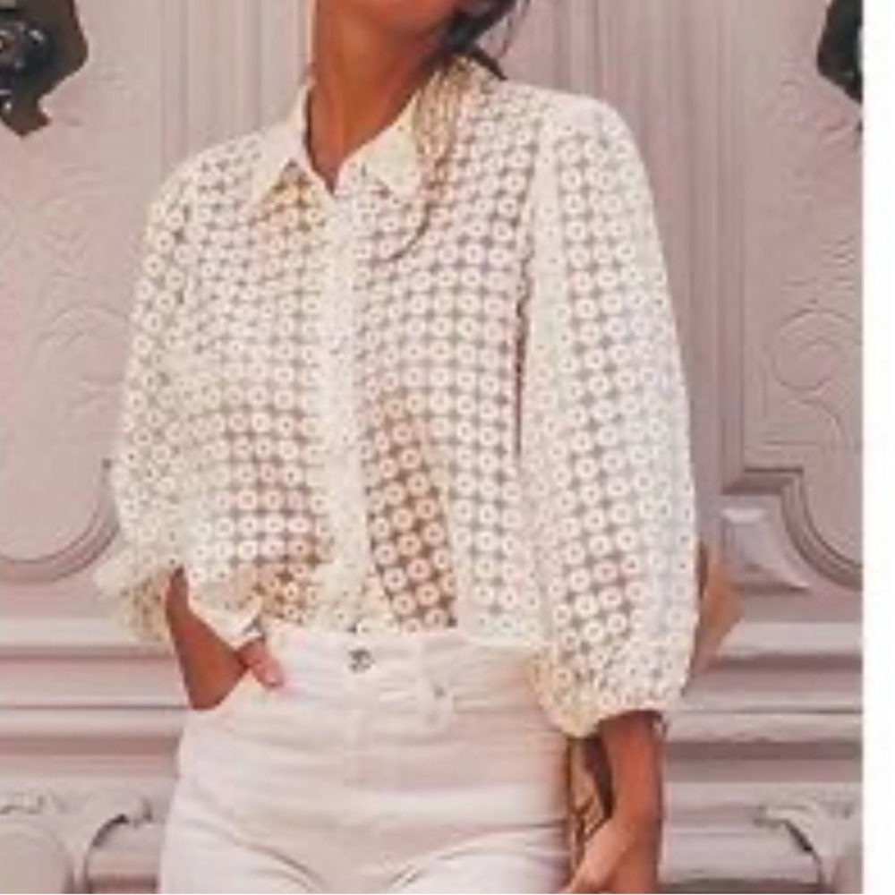Zara Sheer Daisy Floral Blouse
